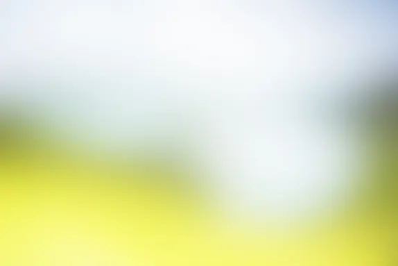 PocketWin Casino Suporte